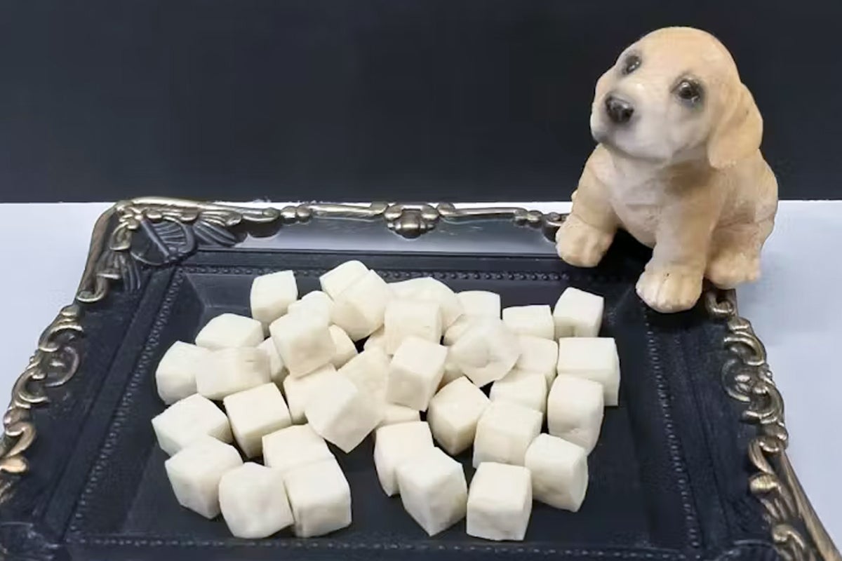 秋田発♪ 全国のワンちゃんに安心安全なオヤツを届けたい！ - CAMPFIRE