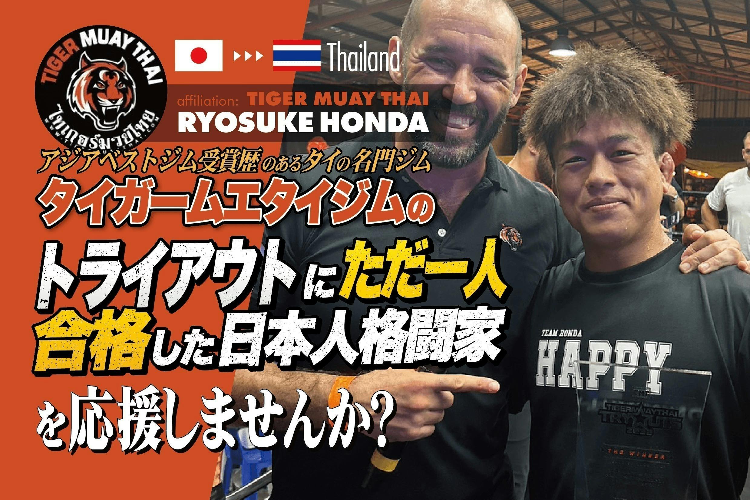 タイガームエタイMMAスパッツ | servicon24.pt