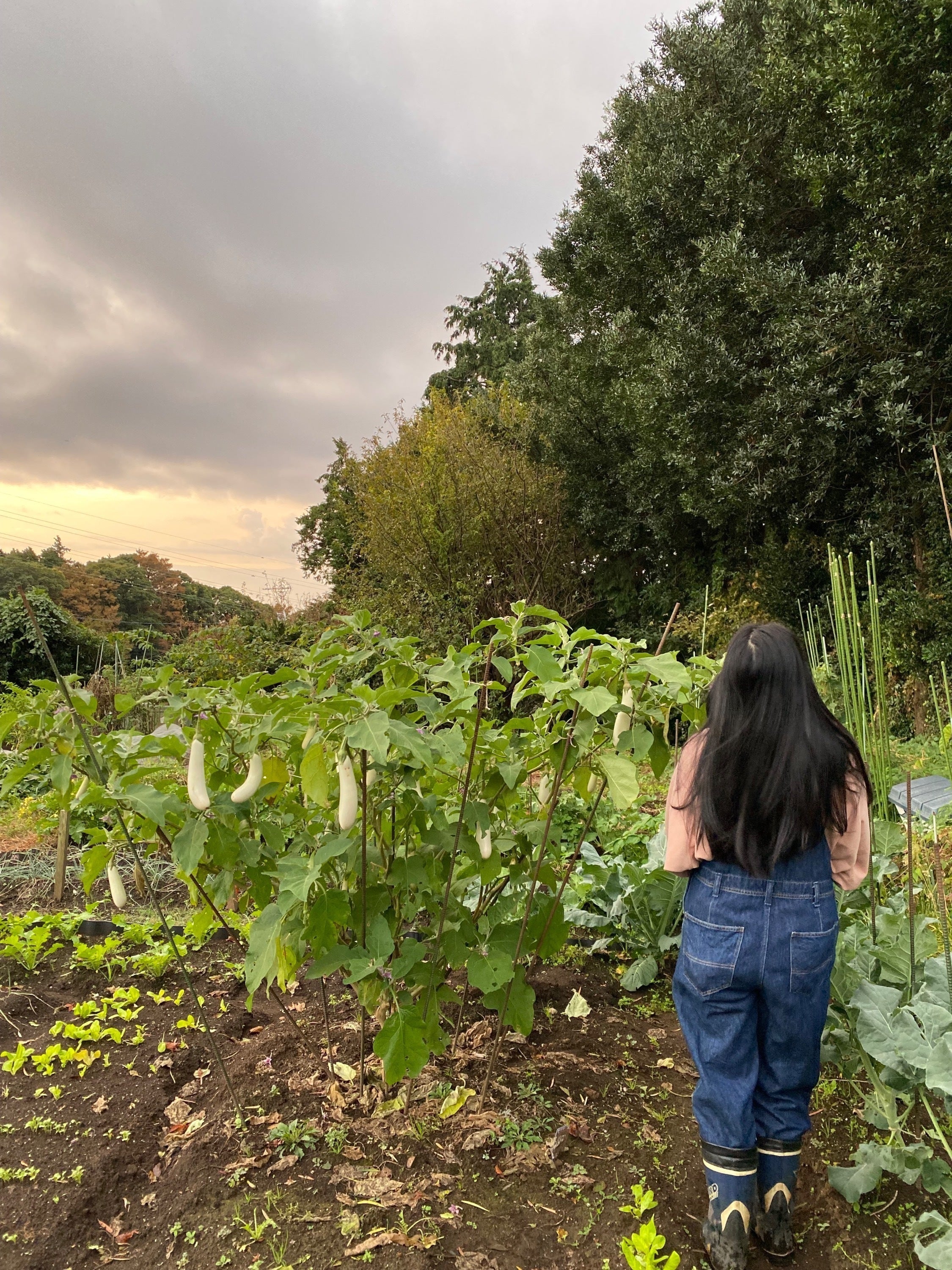 5番目のメイン画像