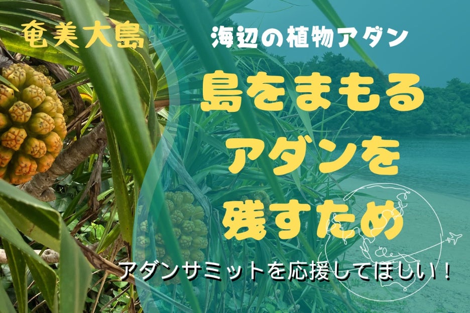 奄美の自然とアダン文化を残すためにアダンサミットを応援してほしい