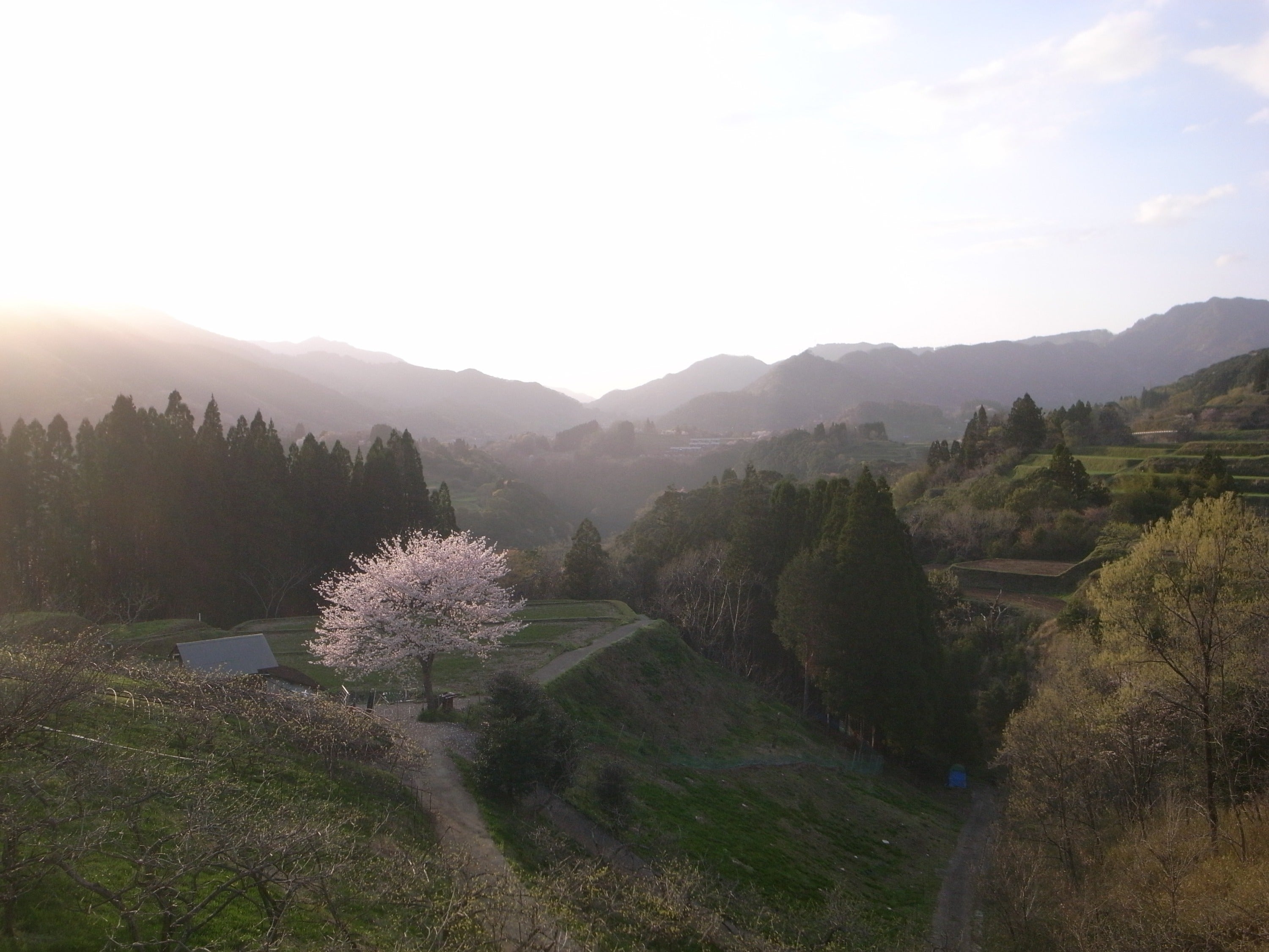 4番目のメイン画像