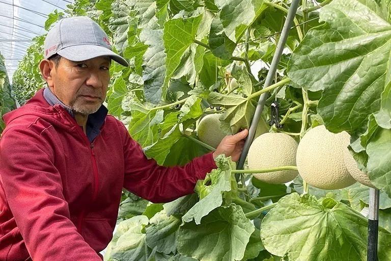 3番目のメイン画像