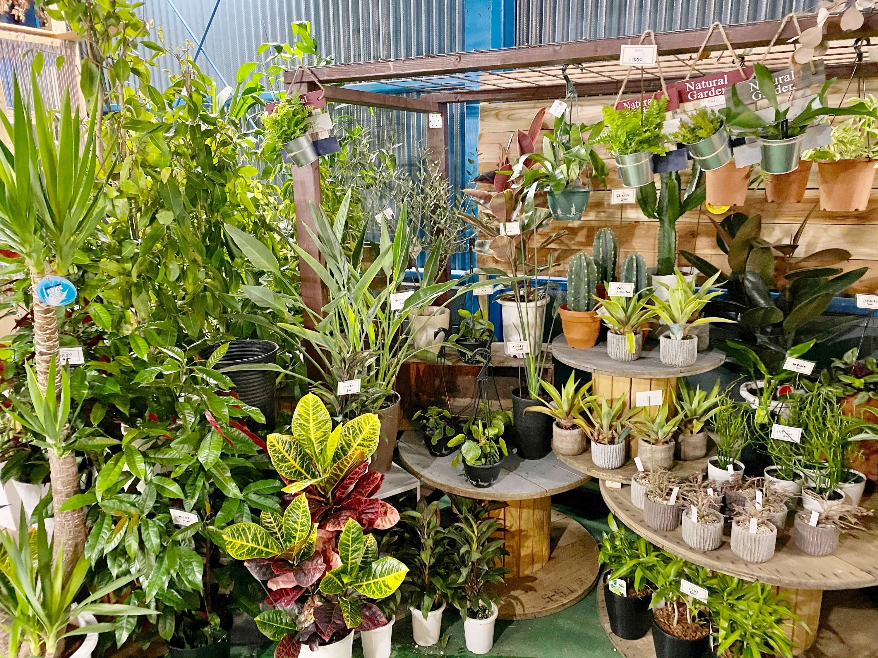 5番目のメイン画像