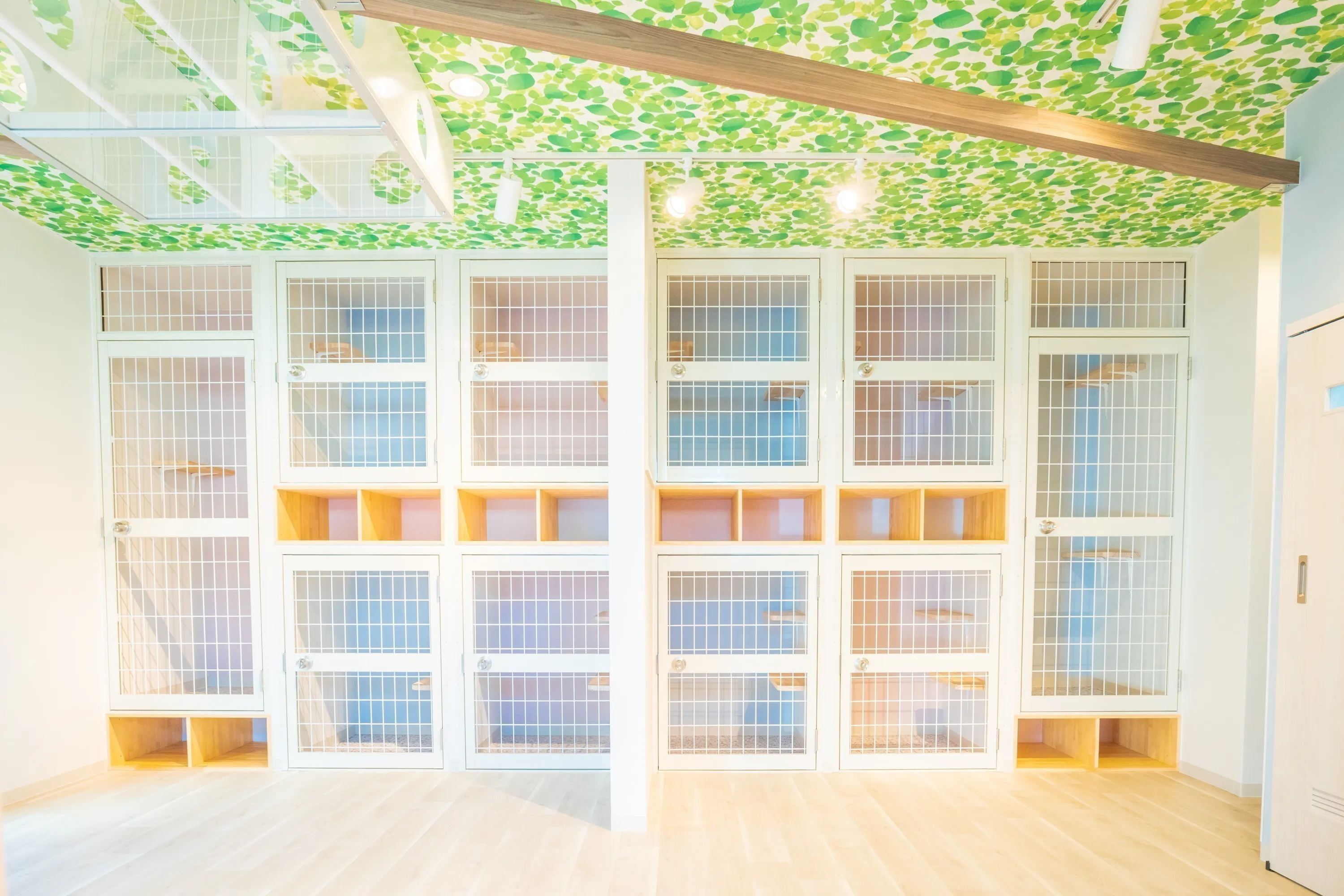 3番目のメイン画像