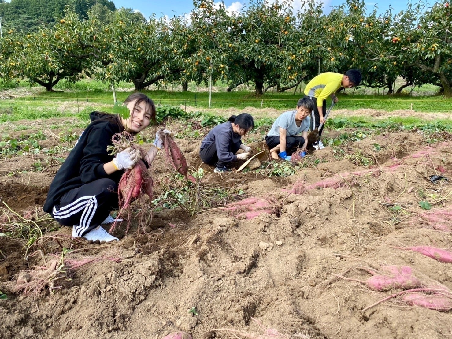 2番目のメイン画像