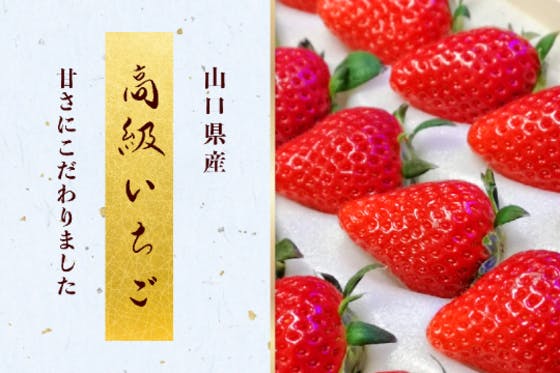 いちご 苺 三色食べ比べ 本日限定 B - 果物