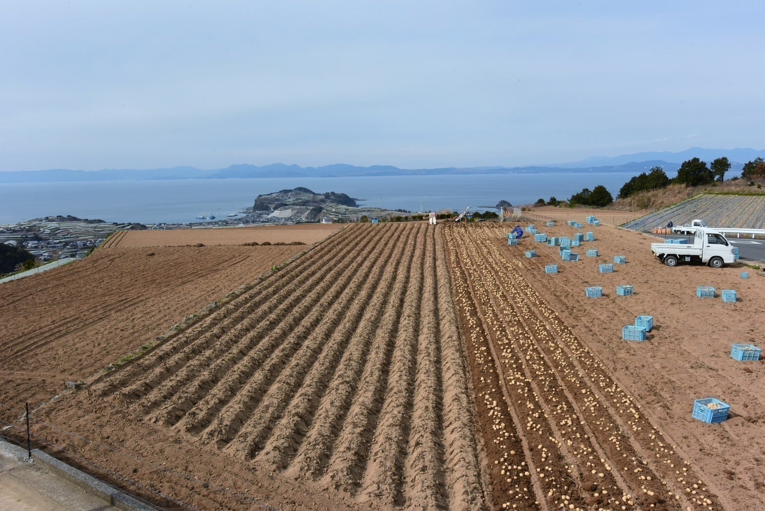 4番目のメイン画像