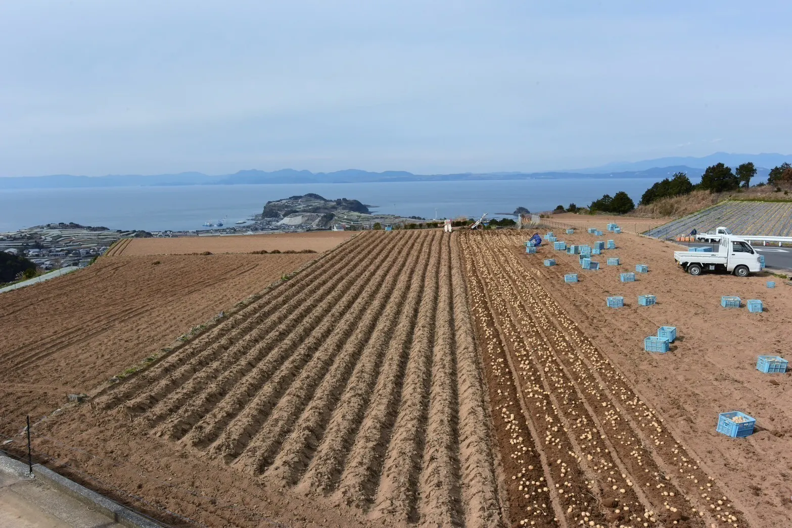 4番目のメイン画像