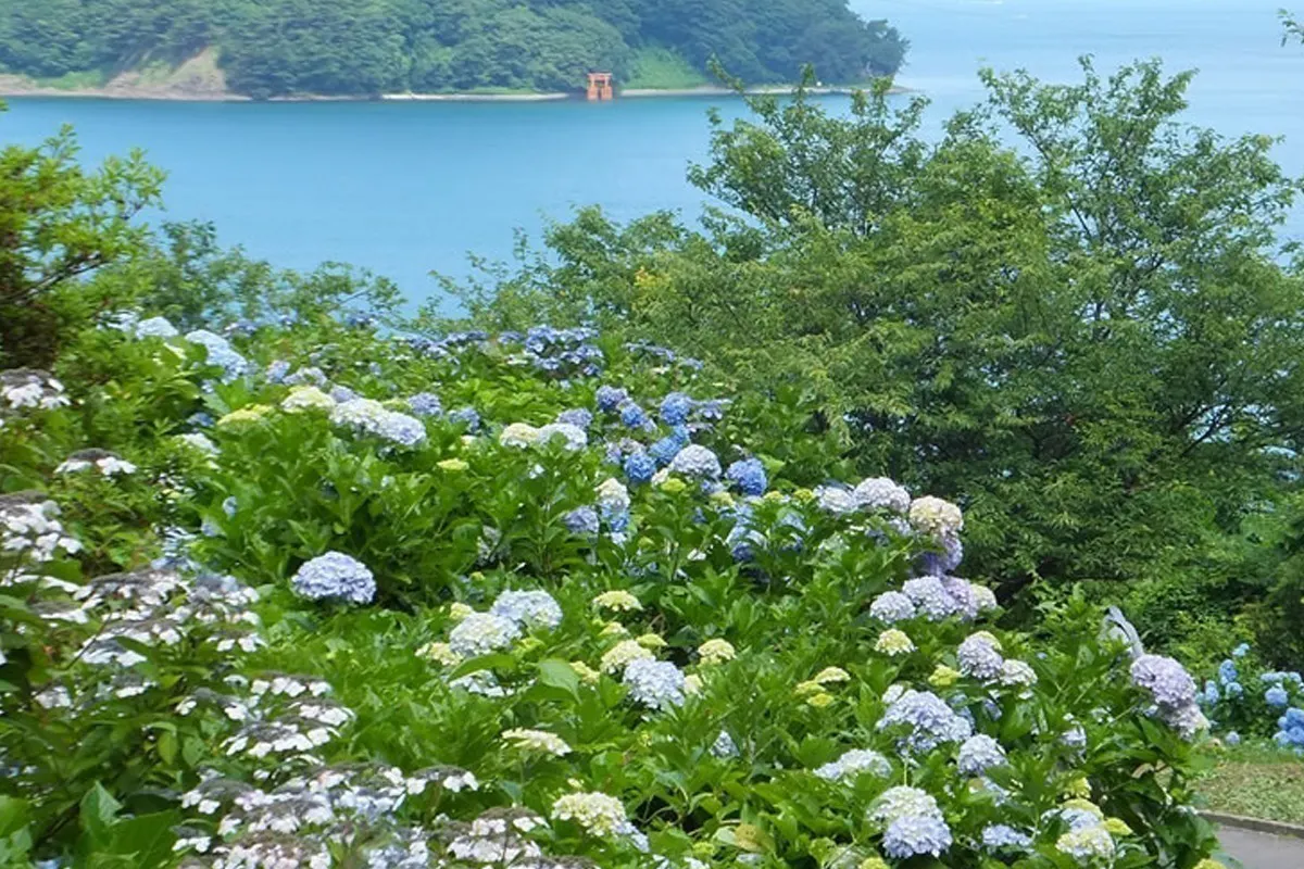 5番目のメイン画像