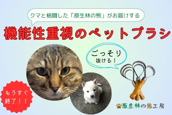 フリマサイトだけで2500本売れた人気の換毛作業用金櫛の猫用新製品をお得にゲット