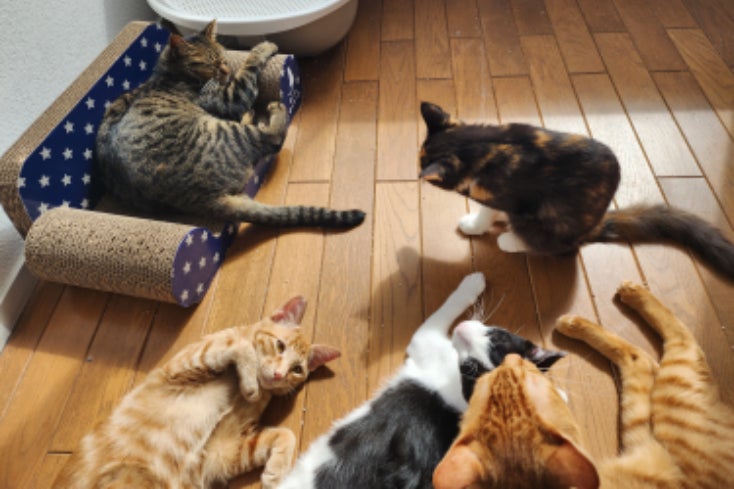 1番目のメイン画像