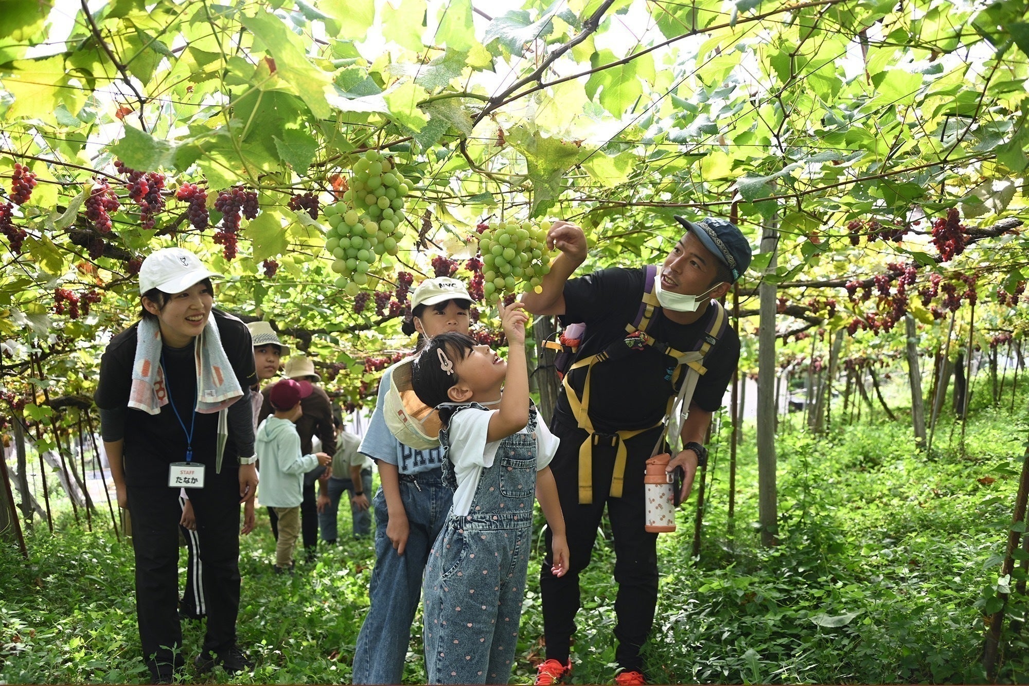 5番目のメイン画像