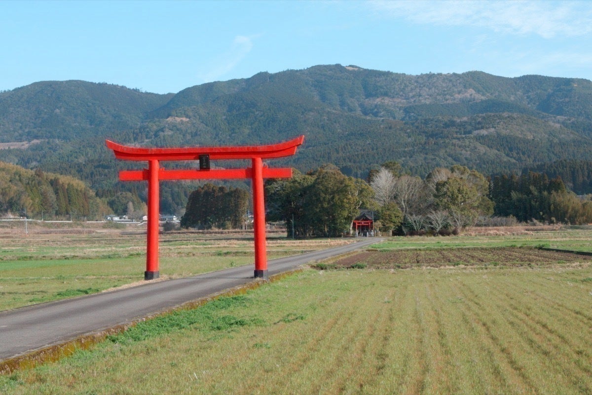 5番目のメイン画像