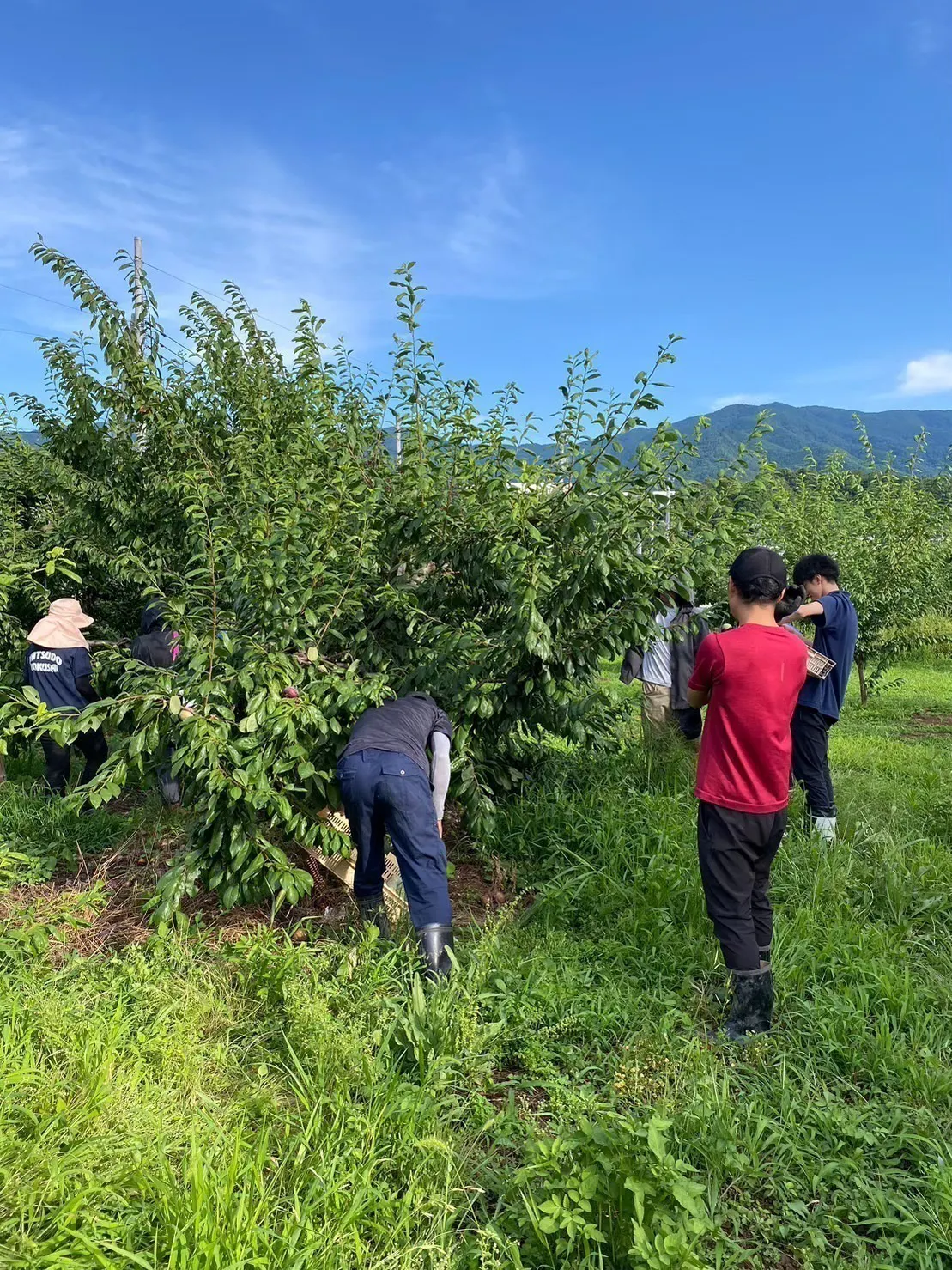 2番目のメイン画像