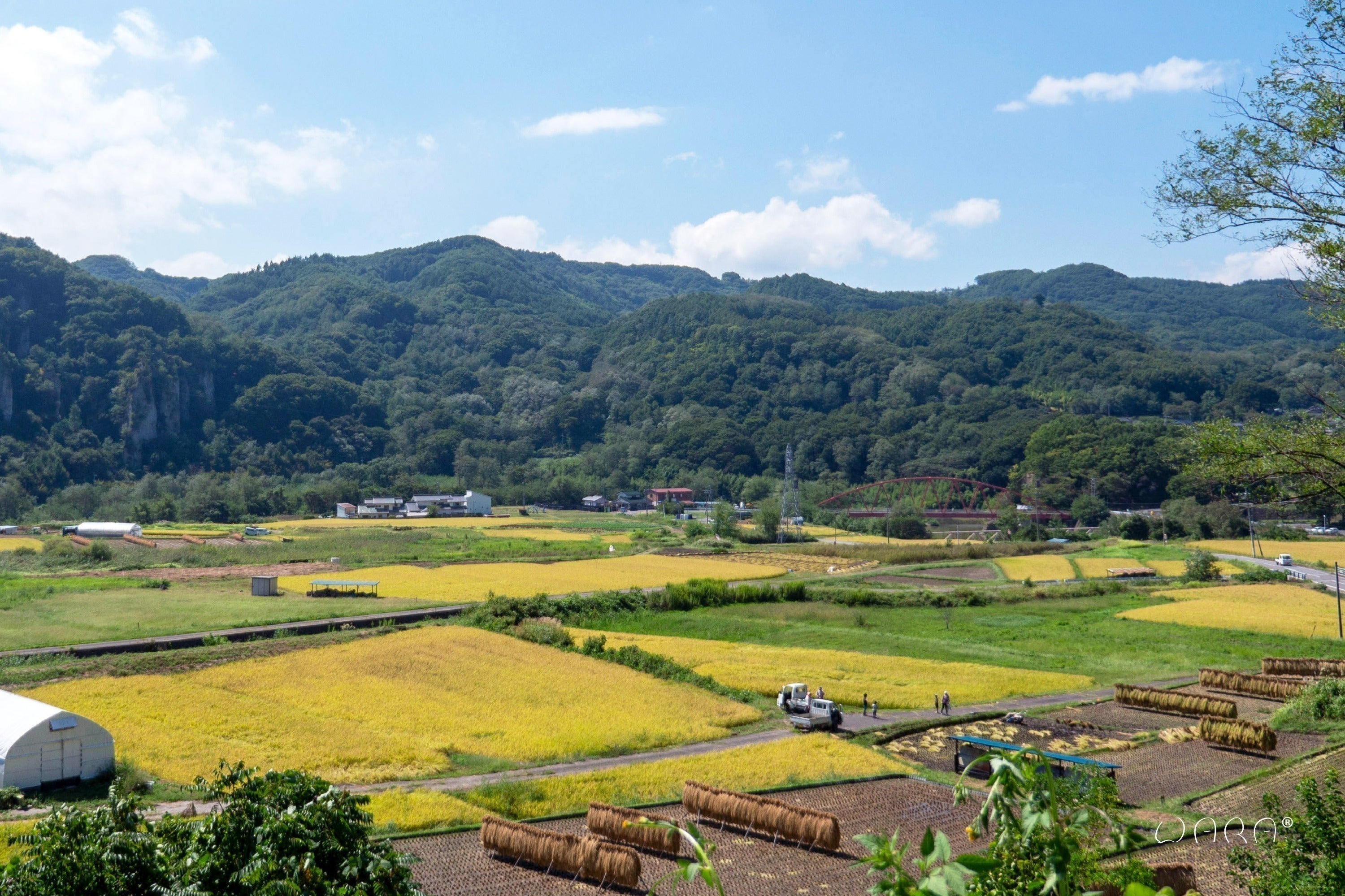 5番目のメイン画像