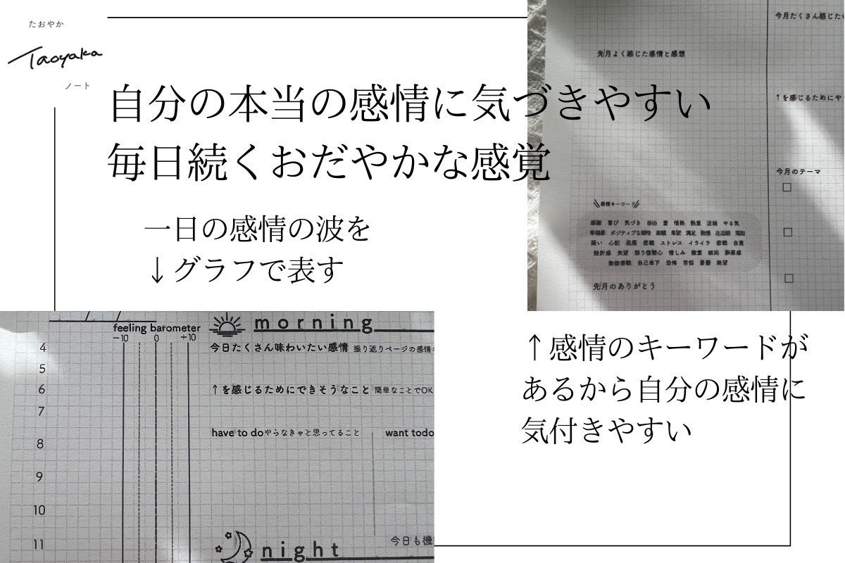 5番目のメイン画像