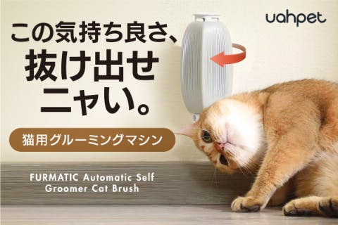 猫が近づくと自動でブラッシング】Cat Brush 体スリスリ、グルーミング - CAMPFIRE (キャンプファイヤー)