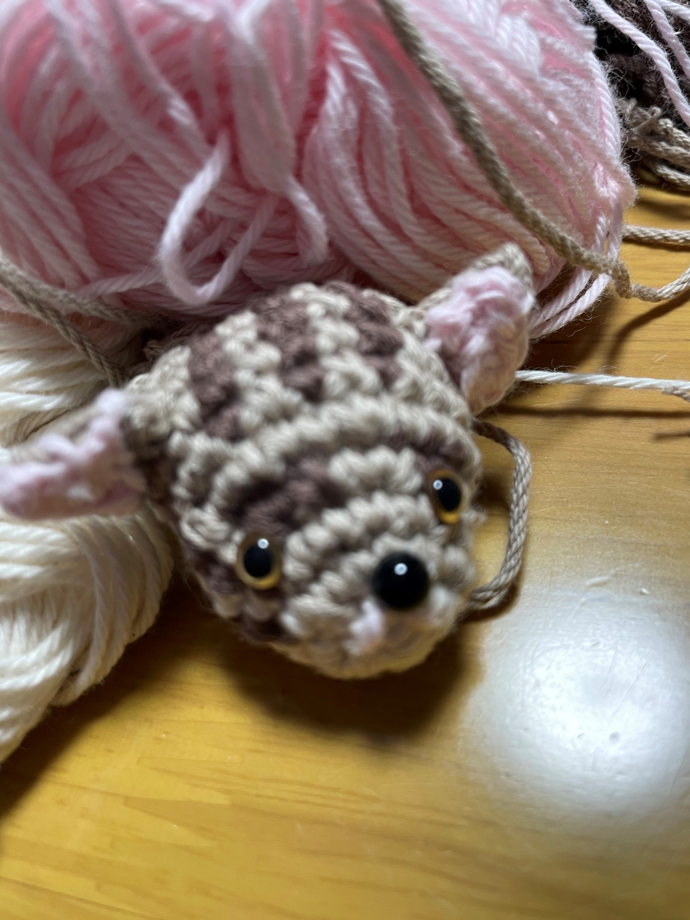 5番目のメイン画像