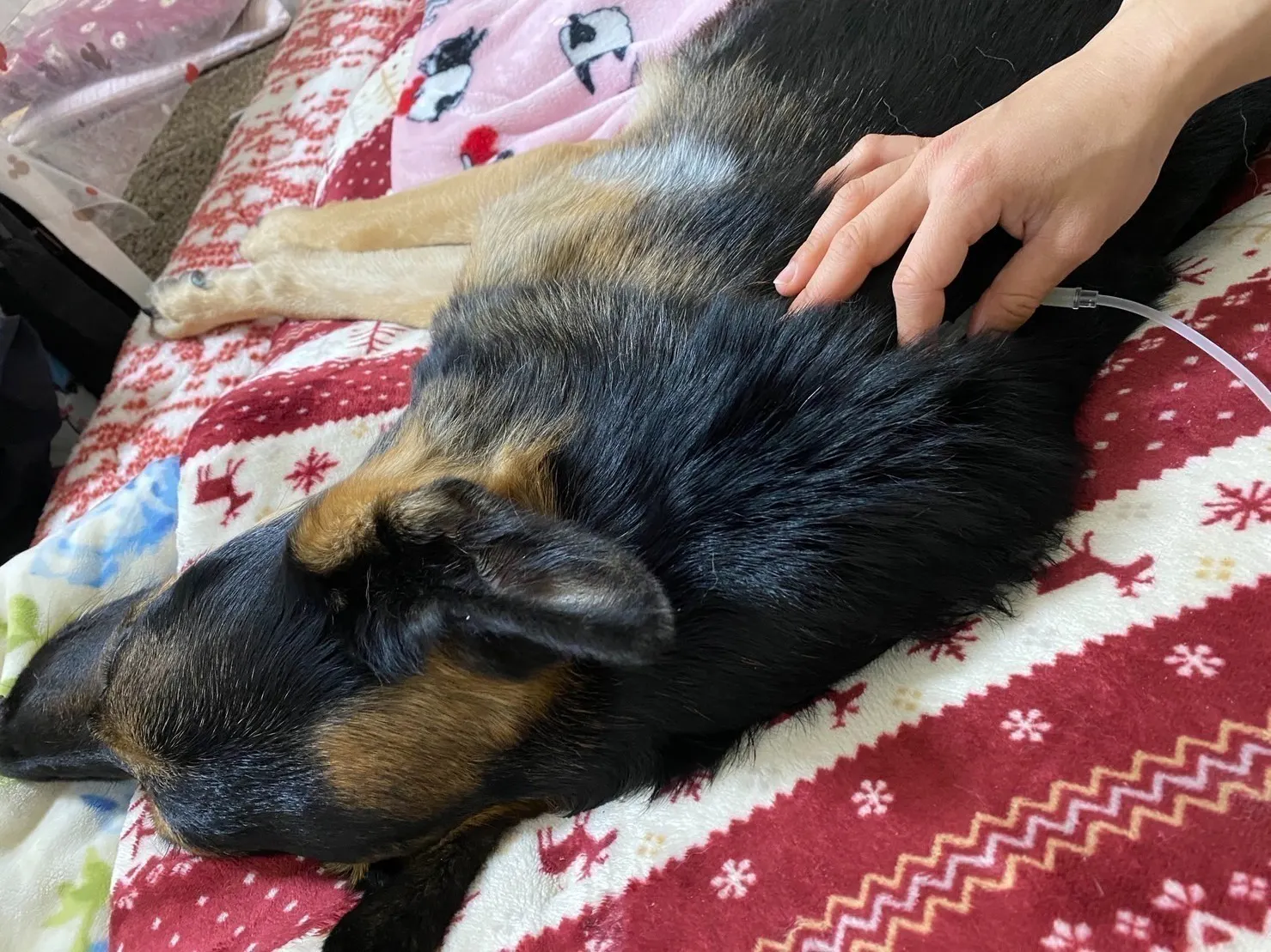 5番目のメイン画像