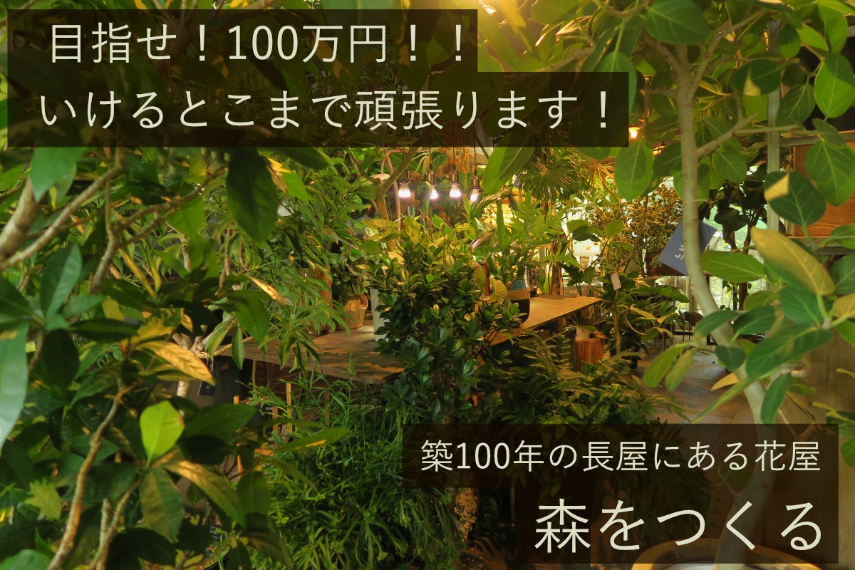 買える森＞築100年の長屋にある花屋を森のような空間に生まれ変わらせ