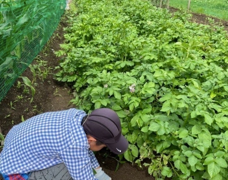 2番目のメイン画像