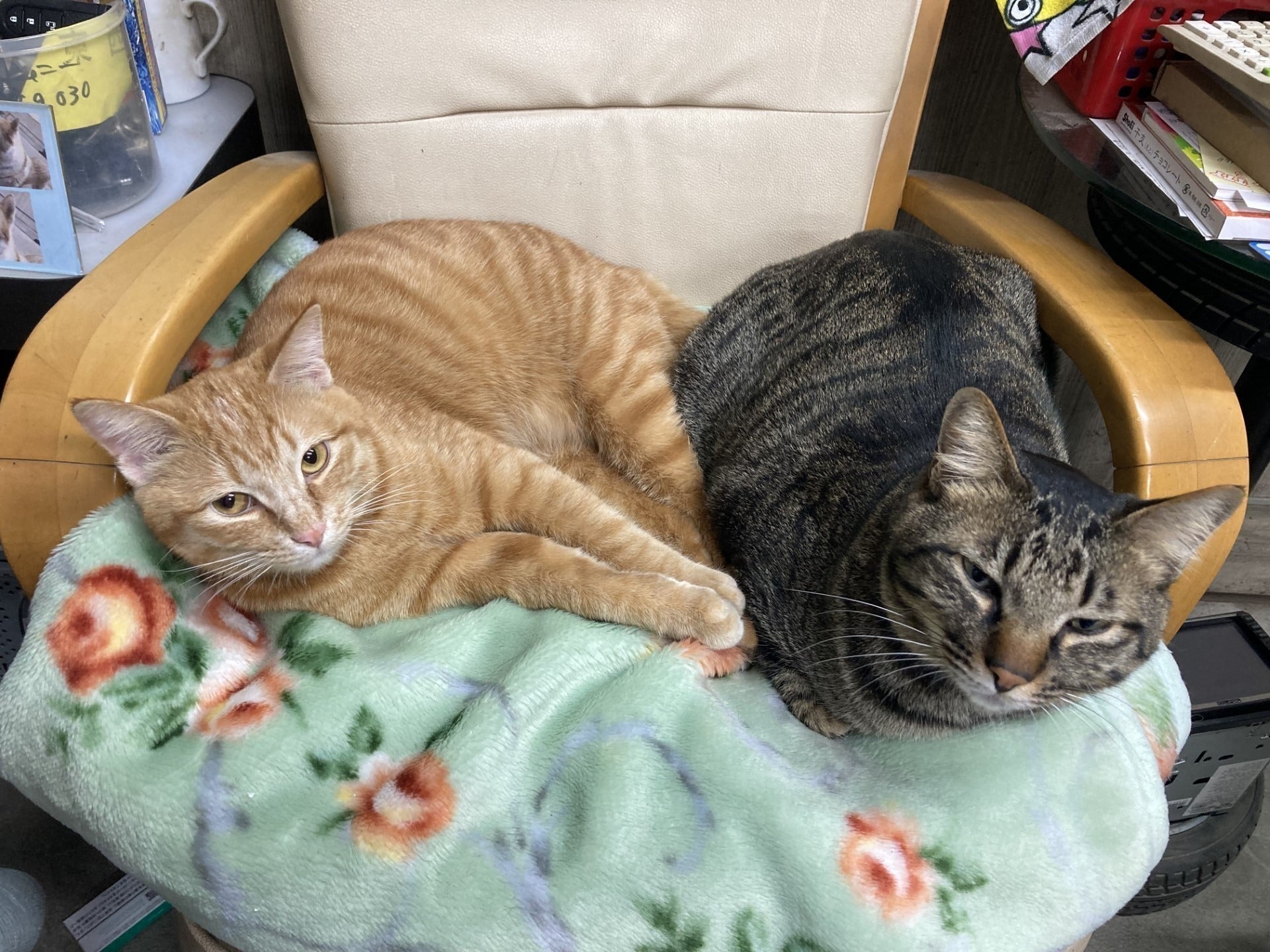 3番目のメイン画像