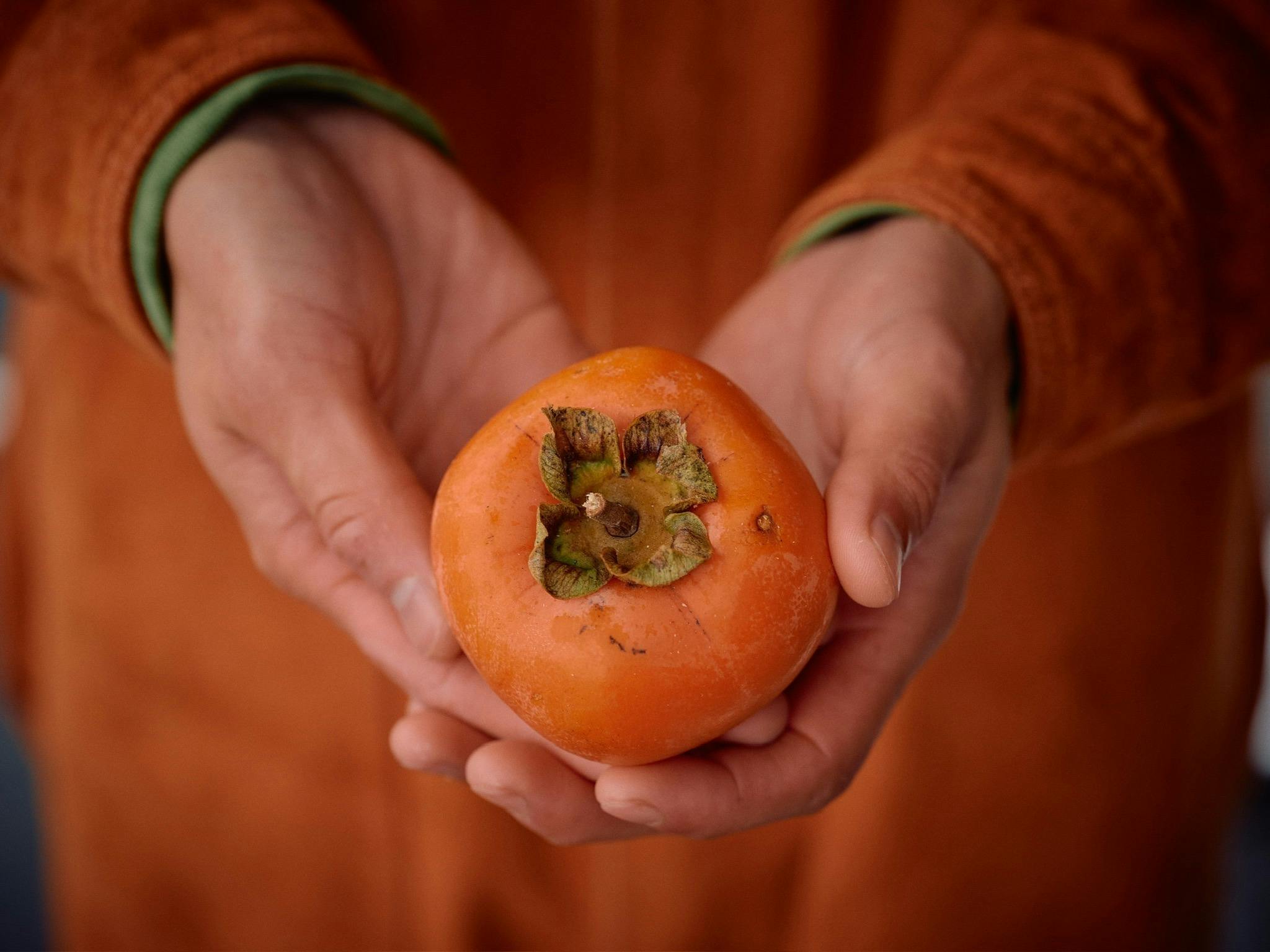 秋田の放置柿を「北限の柿」にブランド化！健康的で美味しい柿の魅力を