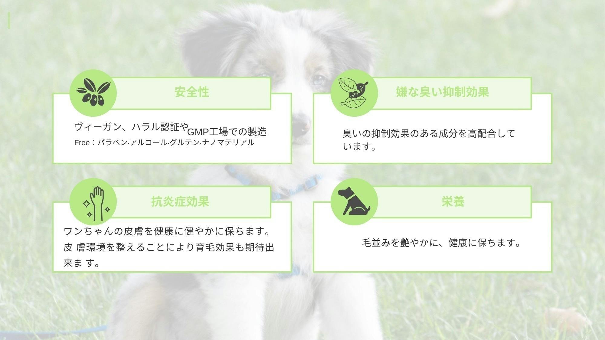 携帯にも便利！成分にこだわり抜いた犬用ドライシャンプー