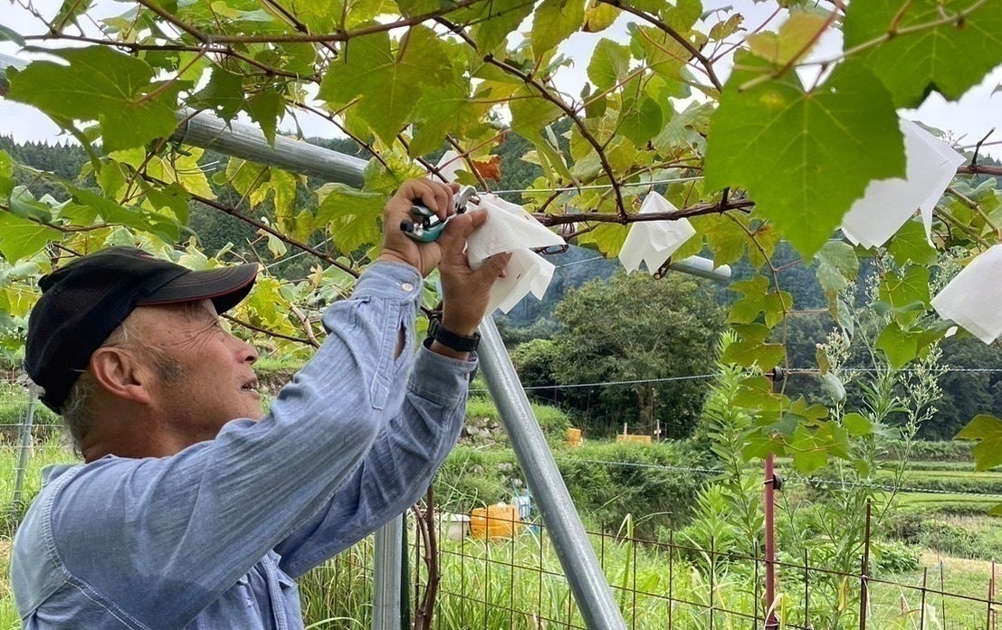 5番目のメイン画像