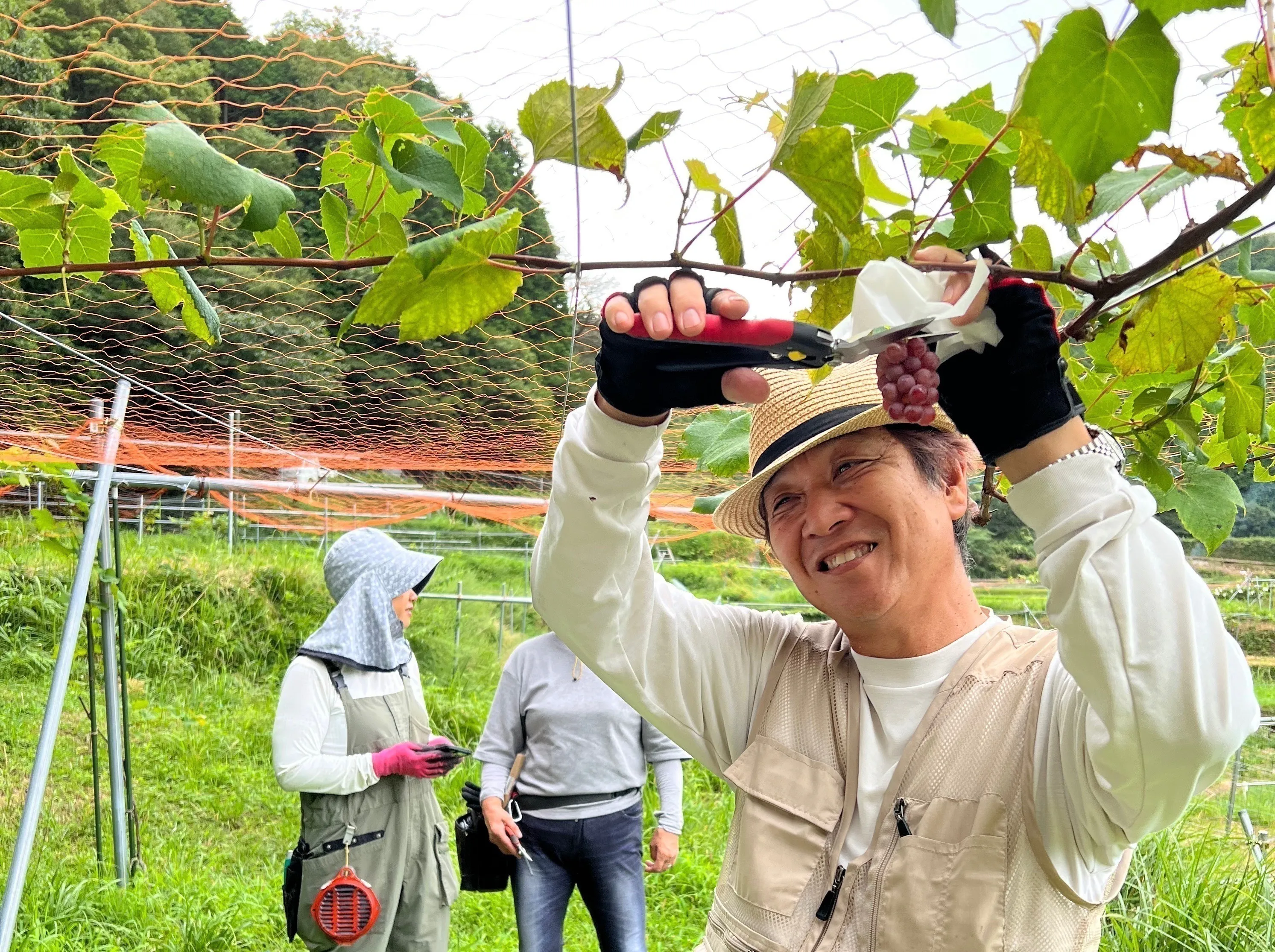 3番目のメイン画像