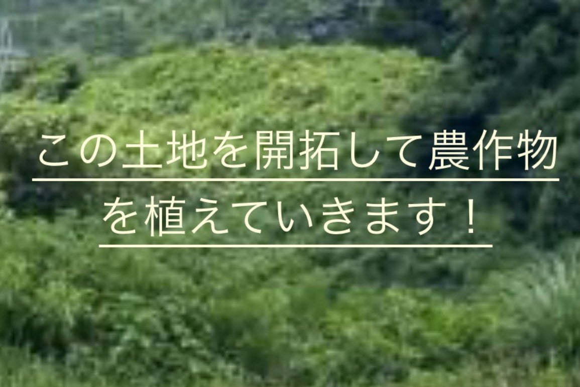 1番目のメイン画像