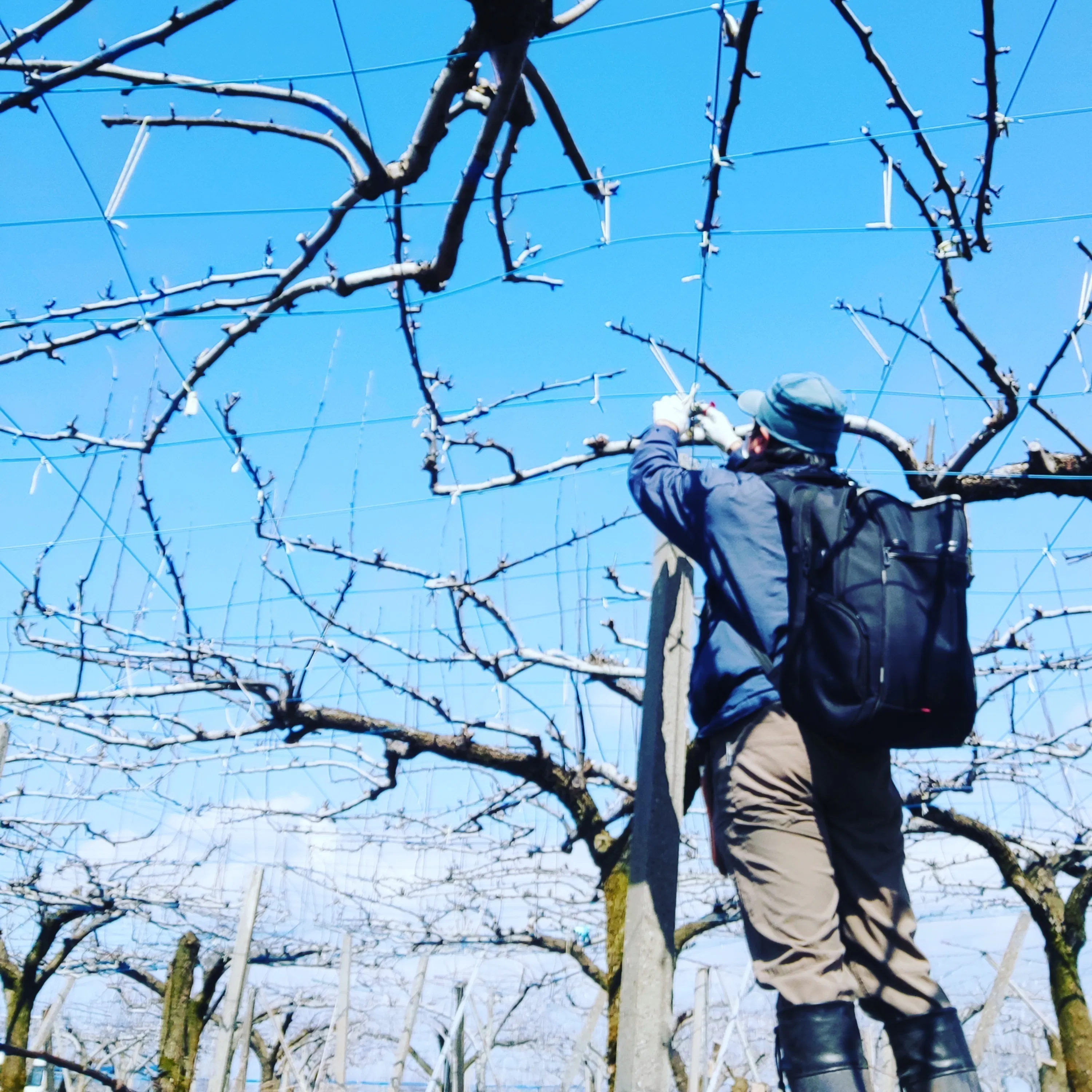 4番目のメイン画像