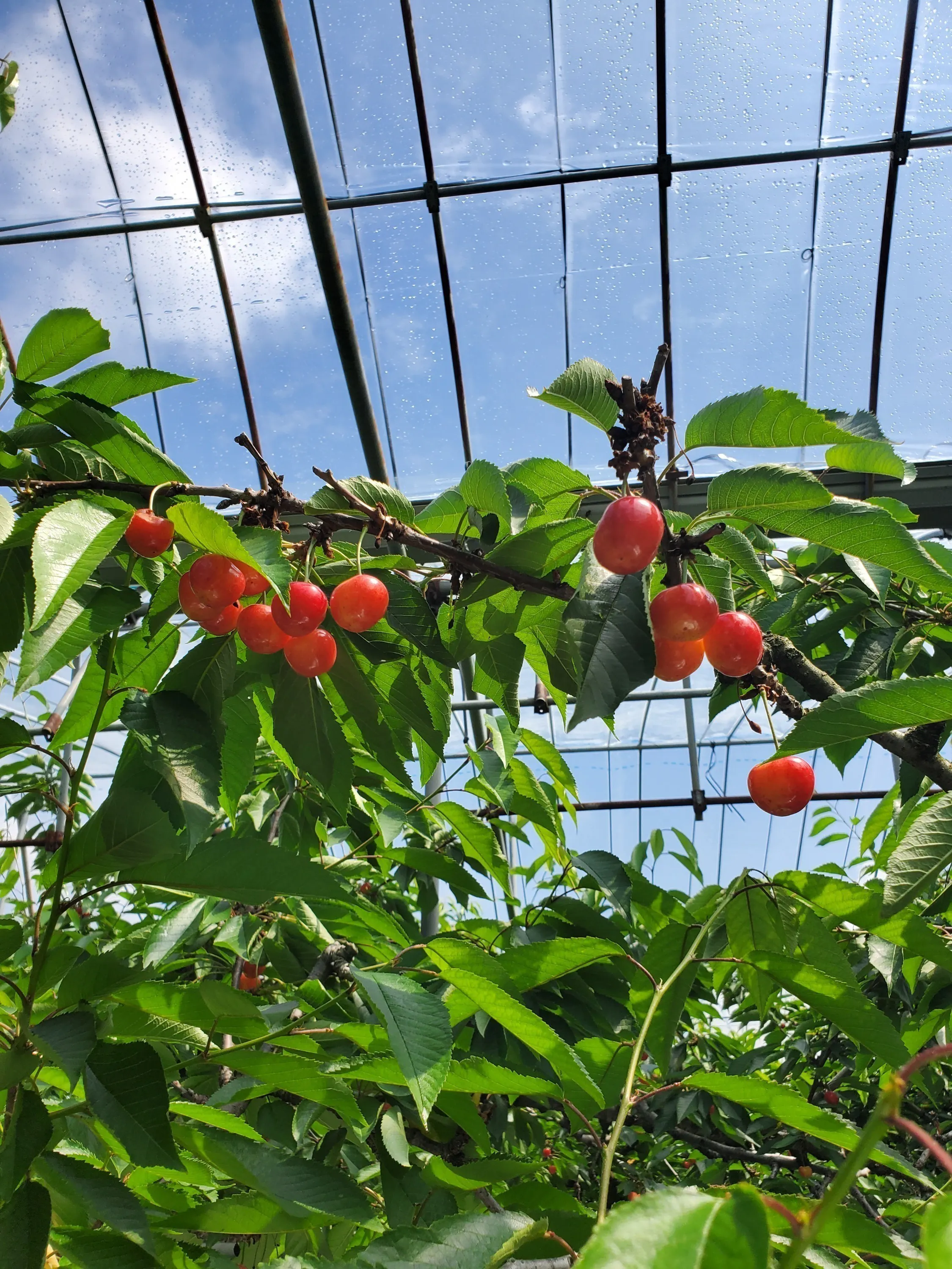 5番目のメイン画像