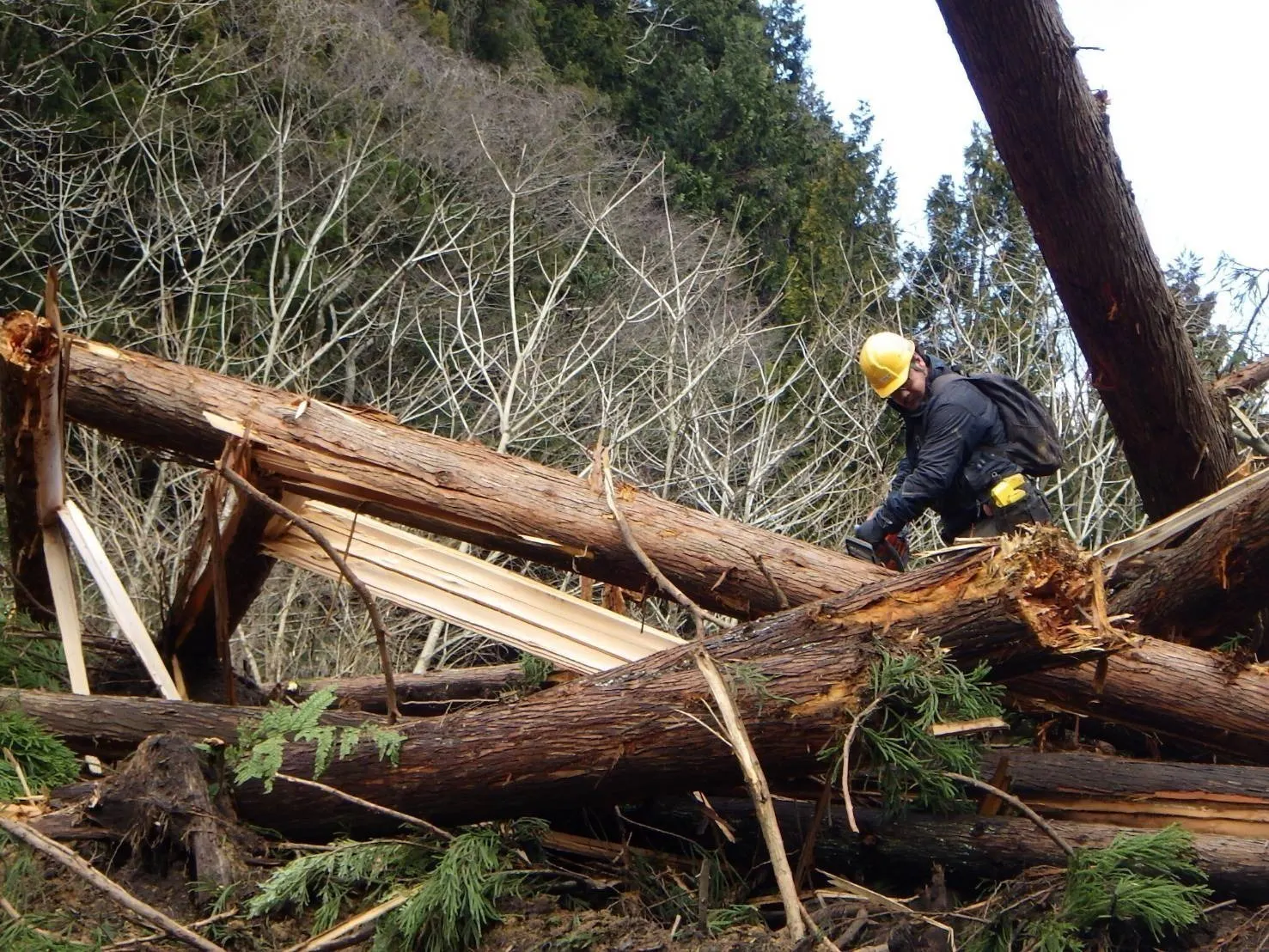 4番目のメイン画像