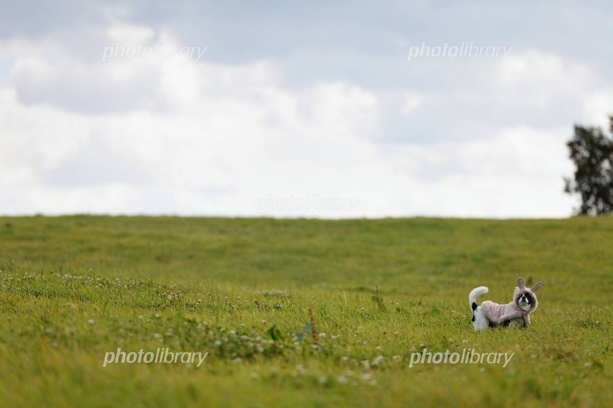 3番目のメイン画像