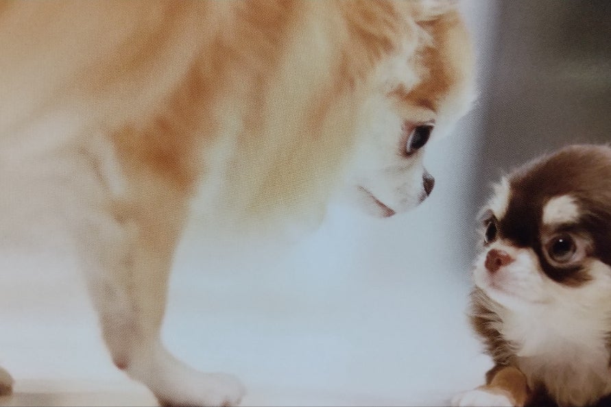 1番目のメイン画像