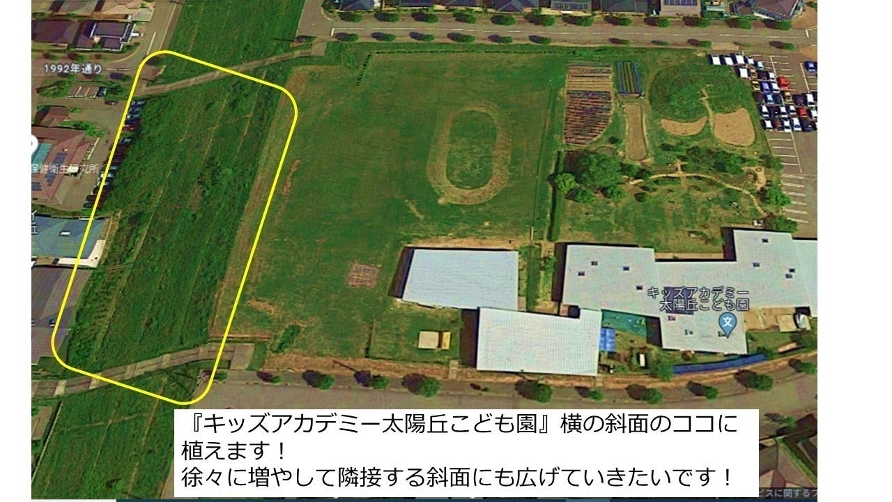 3番目のメイン画像