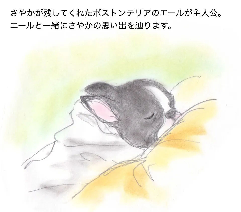 5番目のメイン画像