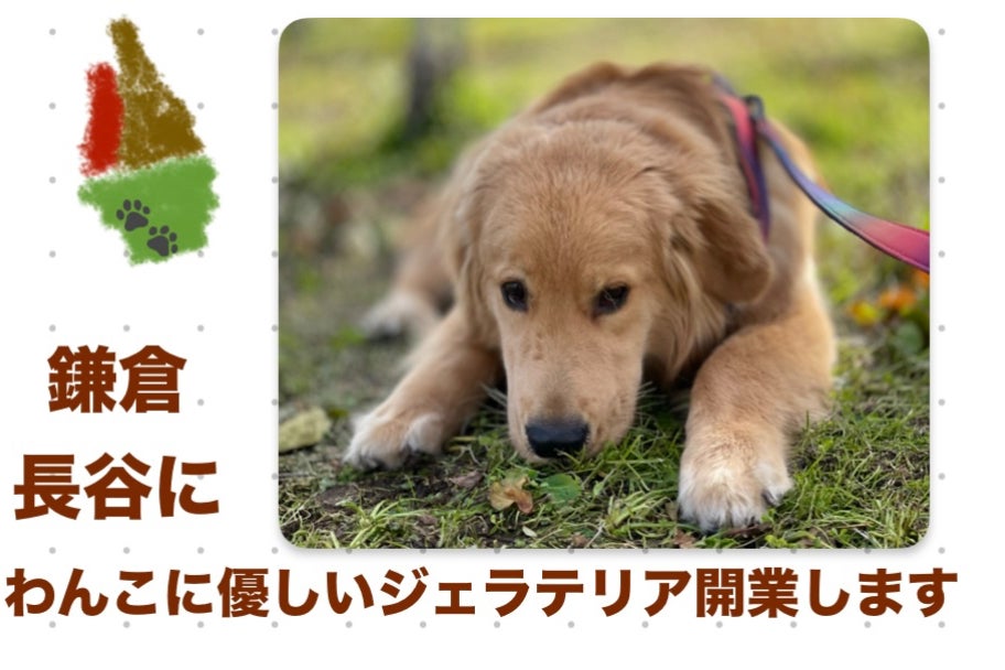 1番目のメイン画像