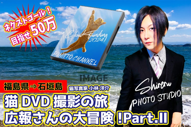広報さんの大冒険！part.2！猫DVD撮影の旅！ ～私を石垣島へ連れてって