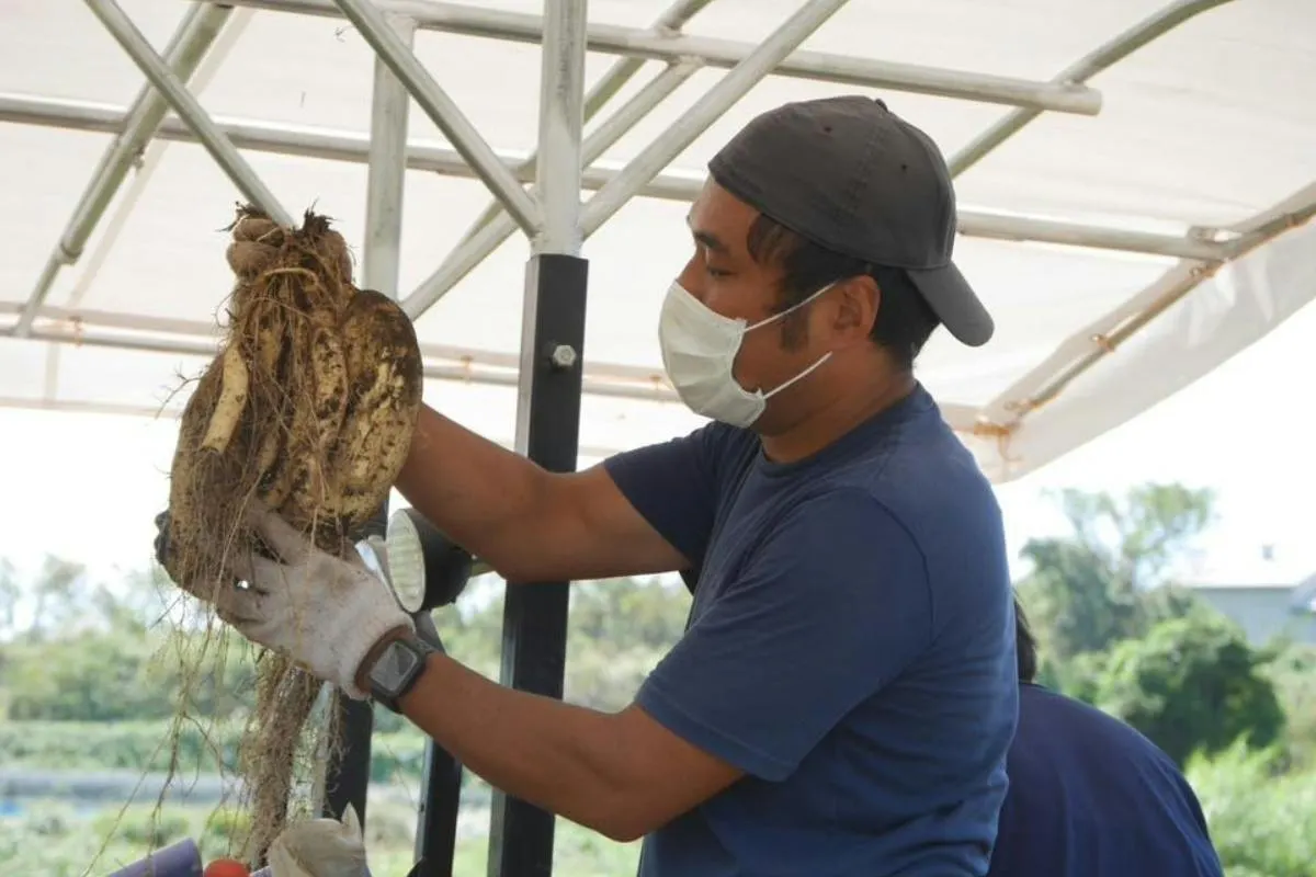 5番目のメイン画像