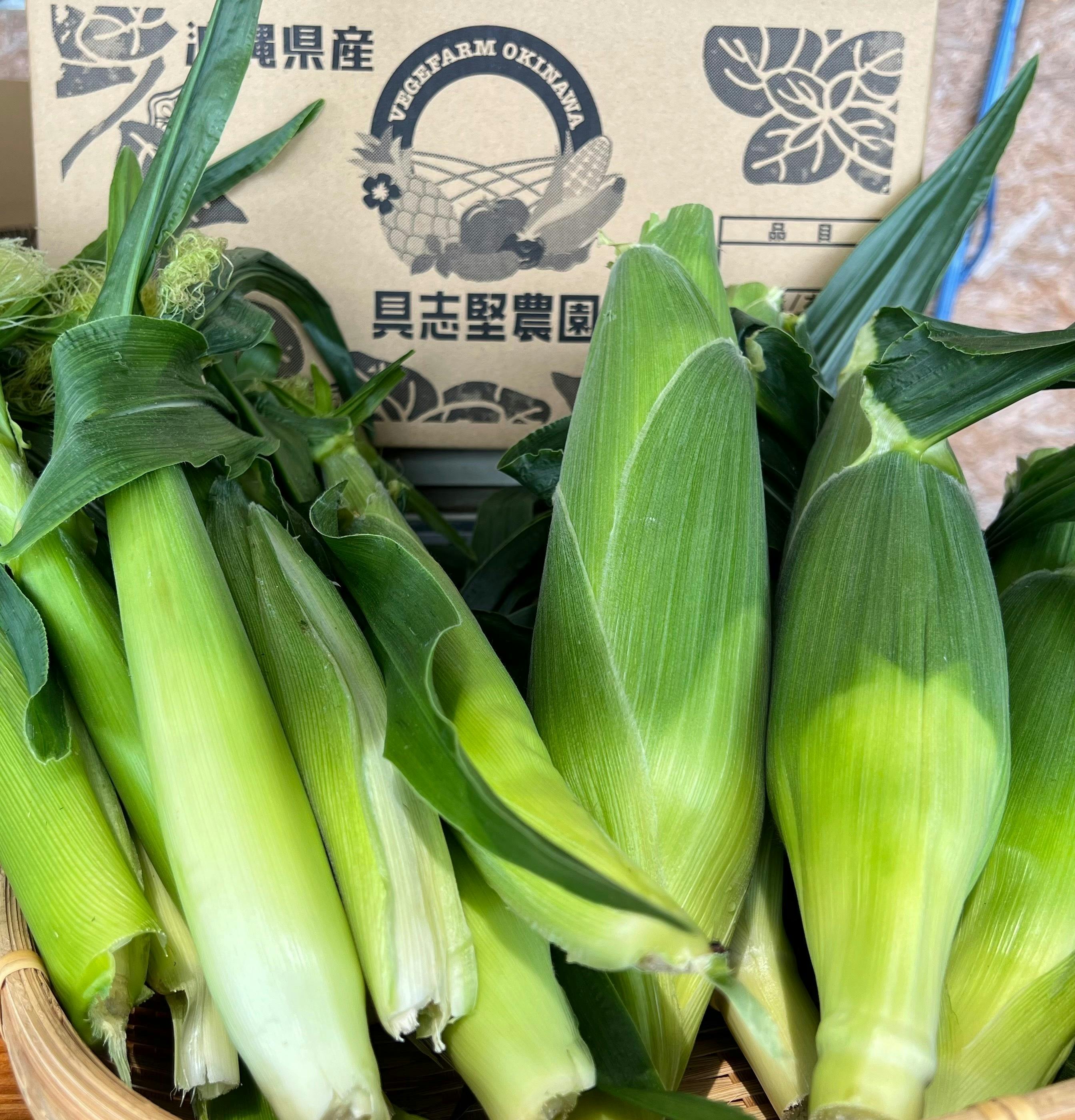 特徴春野菜！長野県産 珍しい 花わさび 特注 【約10kg 】#