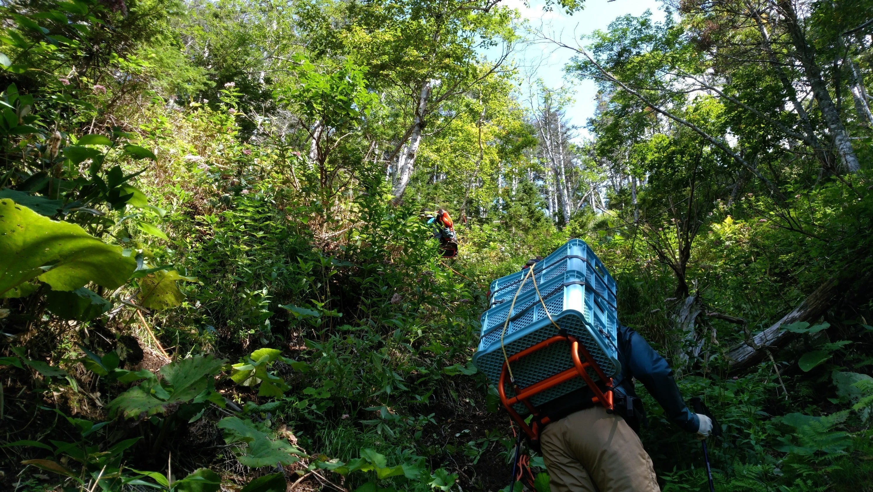 4番目のメイン画像