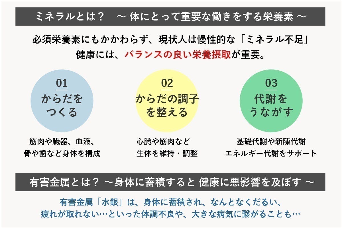 大阪公立大学発ベンチャーが開発！数本の髪で体内ミネラルが測定できる検査キット - CAMPFIRE (キャンプファイヤー)