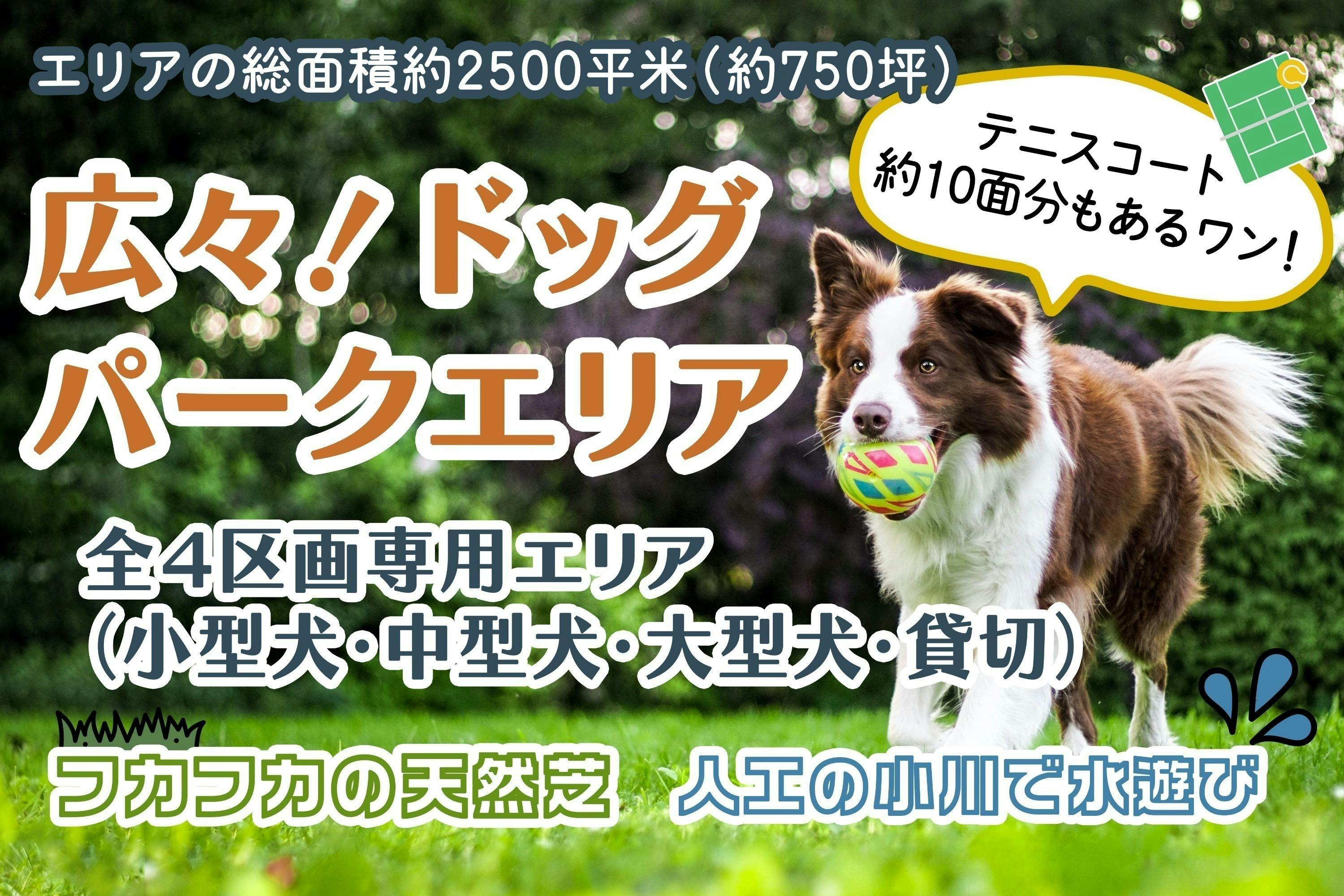 兵庫県宝塚市】ヒトとイヌが主役！体験型農業施設”宝塚TERRACE