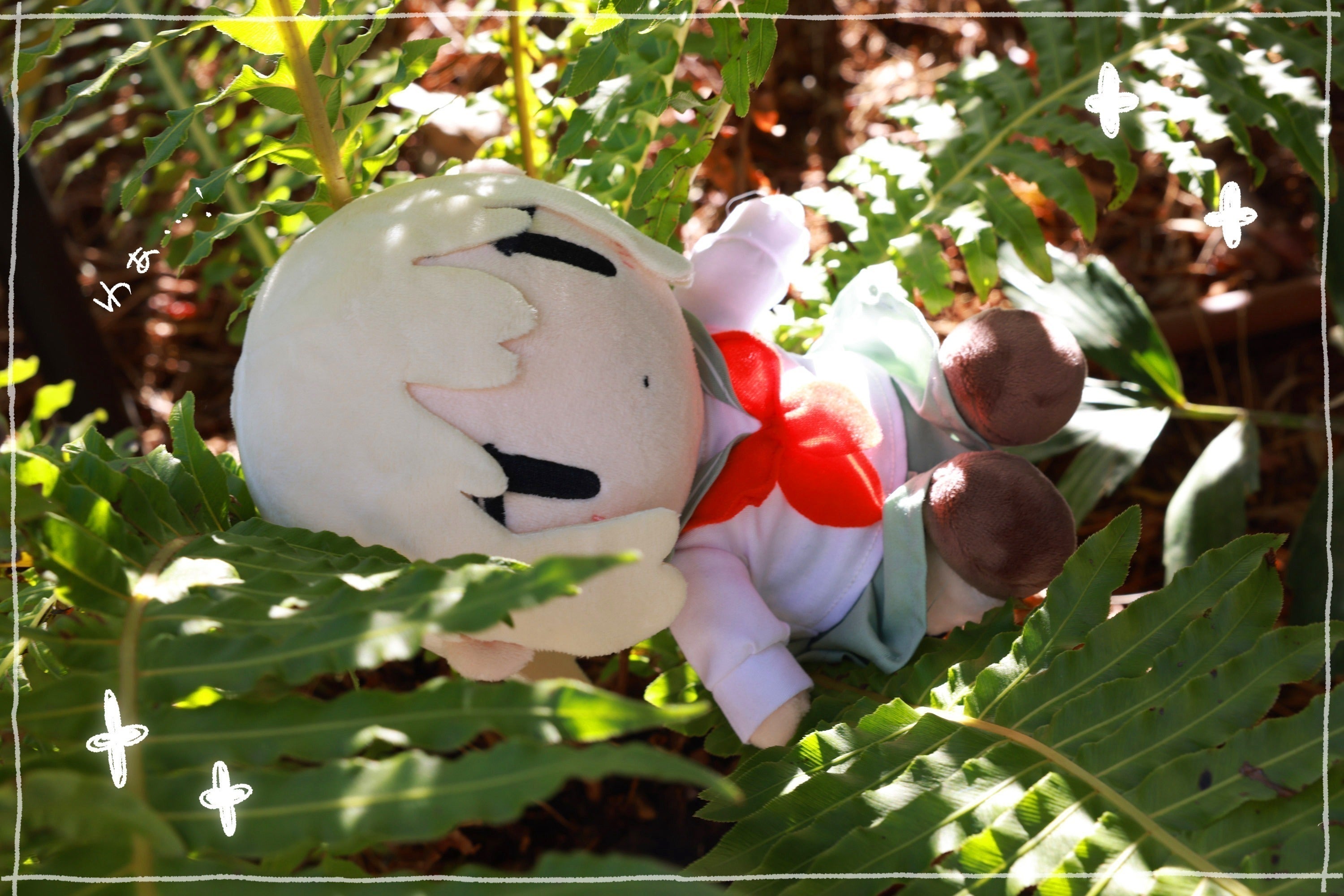 5番目のメイン画像