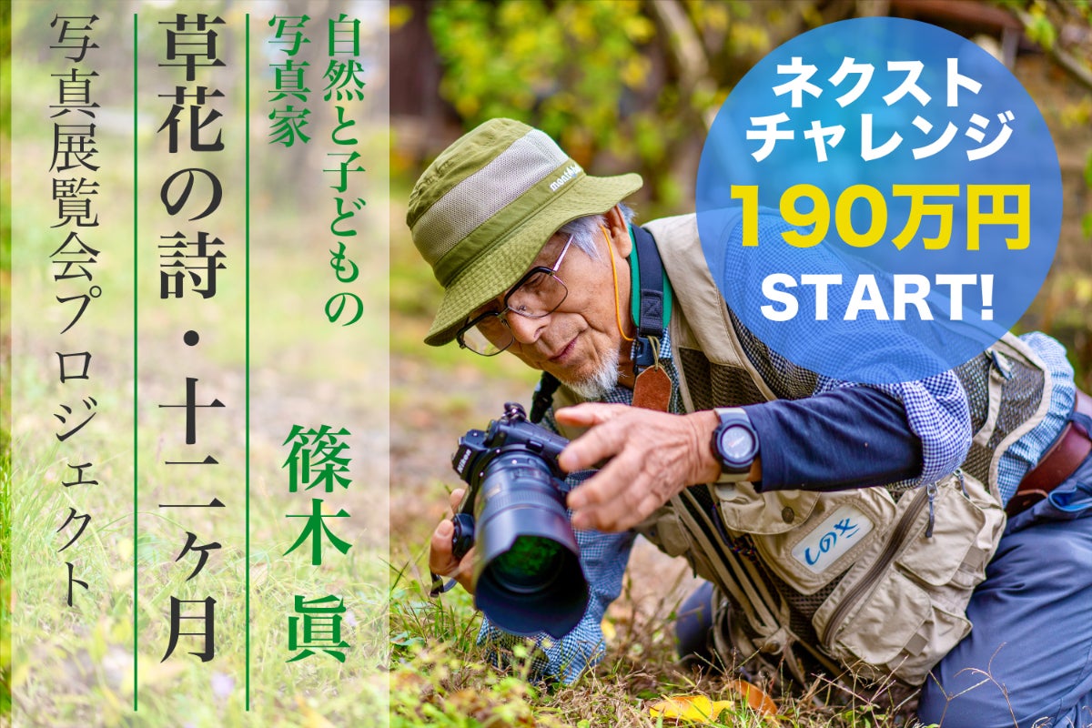 自然と子どもと共に生きる写真家、シノキが撮影する野草の白黒写真展を
