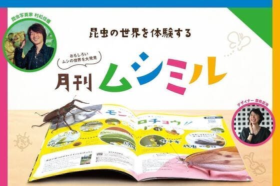 昆虫知る見る「月刊ムシミル」 CAMPFIREコミュニティ