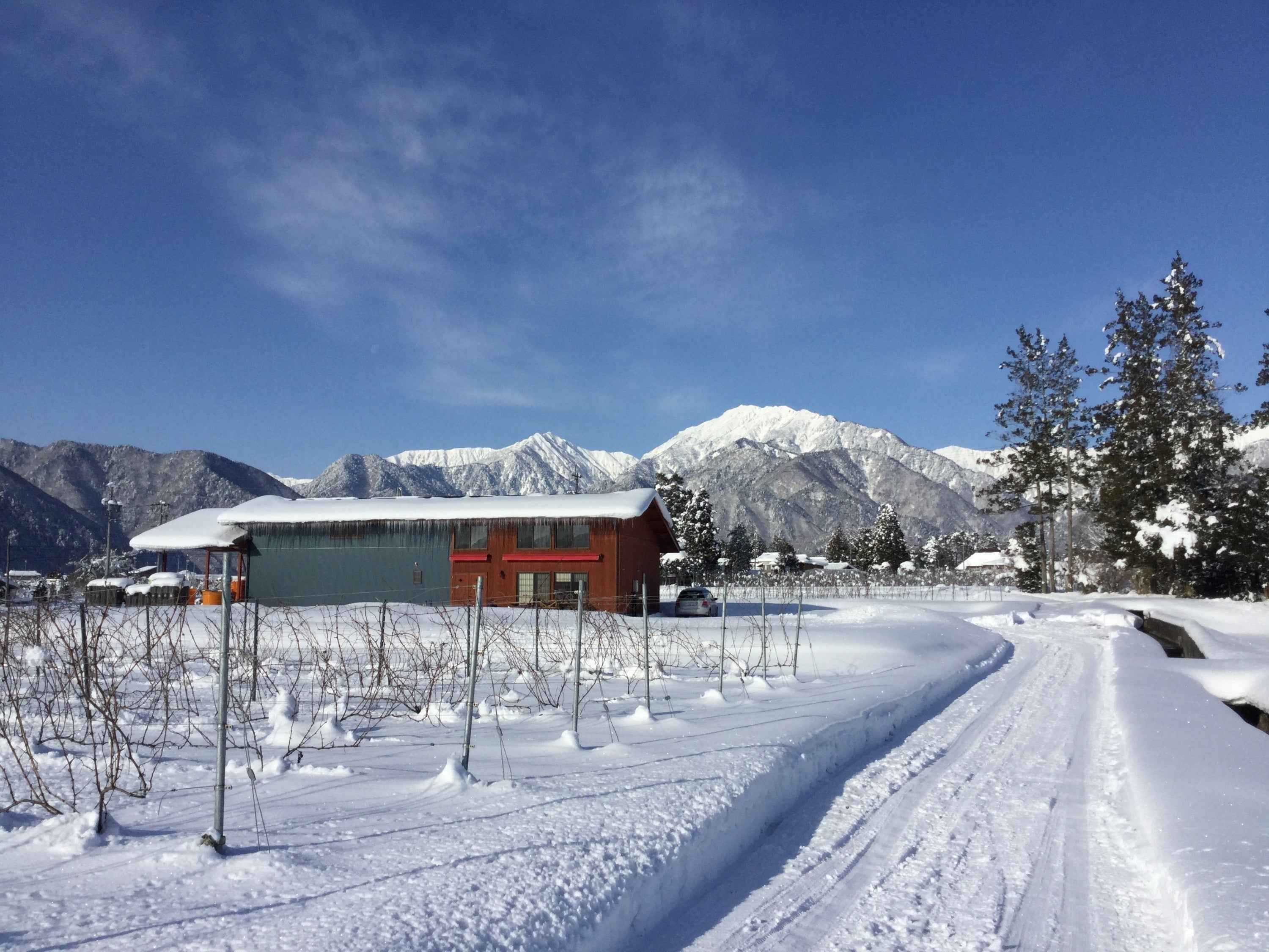 5番目のメイン画像