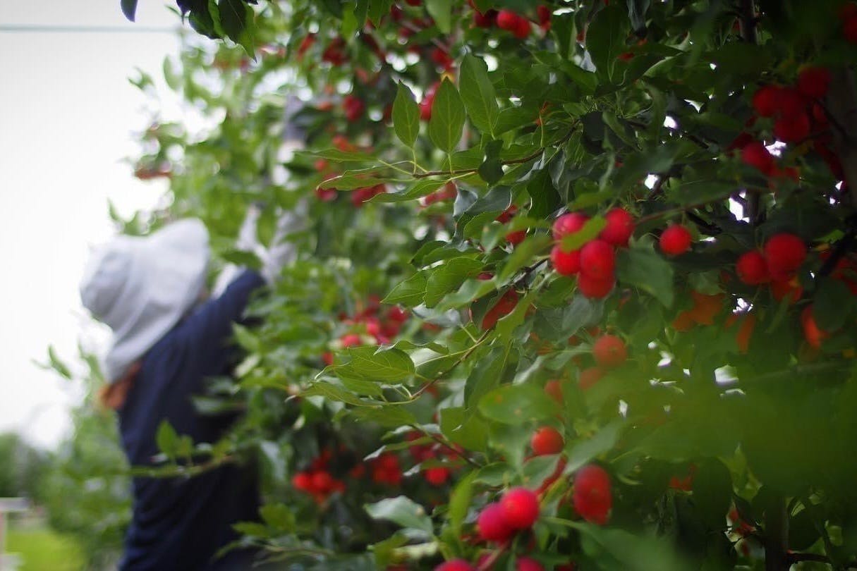 5番目のメイン画像